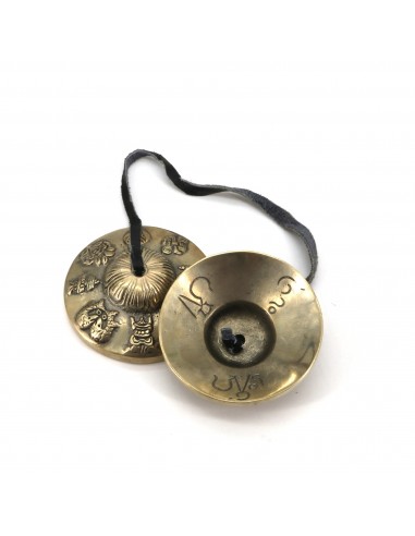 Parasol (Chattra), Golden Fish (Srivatsa or Matsya), Treasure Vase (Kalasha), Lotus Flower (Padma), Conch Shell (Shankha), knot