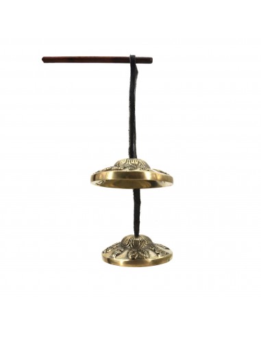 Parasol (Chattra), Golden Fish (Srivatsa or Matsya), Treasure Vase (Kalasha), Lotus Flower (Padma), Conch Shell (Shankha), knot