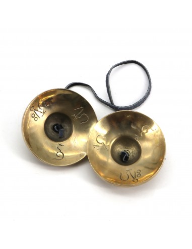 Parasol (Chattra), Golden Fish (Srivatsa or Matsya), Treasure Vase (Kalasha), Lotus Flower (Padma), Conch Shell (Shankha), knot