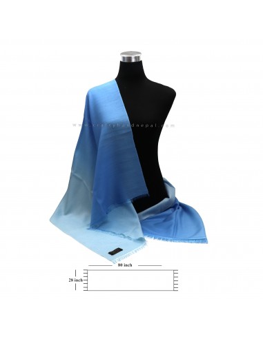 Worldwide free shipping cashmere shawl, kashmere shawl