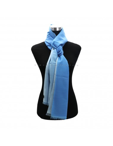 Worldwide free shipping cashmere shawl, kashmere shawl