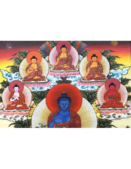 8 Medicine Buddhas, Supreme healer, Medicine Buddha Cotton Canvas Thangka Painting. 20"x14" size. Cure Suffering teaching paint