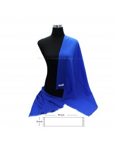 Worldwide free shipping Royal blue Exclusive 100% pashmina Shawl 2