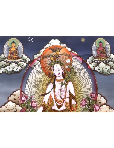 17"x13.5" White Tara With 4 Buddhas (Head) Thangka Painting