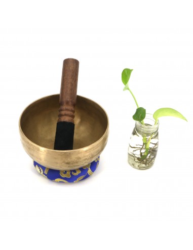 Meditation, Mindfulness, Sound Healing, Sound Therapy, Wellness, Relaxation, Spirituality, Mind Body Spirit, Yoga, blessed bowl