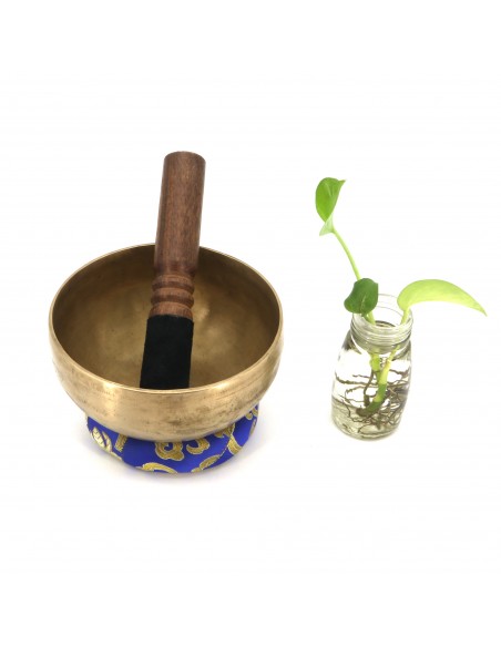 Meditation, Mindfulness, Sound Healing, Sound Therapy, Wellness, Relaxation, Spirituality, Mind Body Spirit, Yoga, blessed bowl