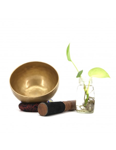 Meditation, Mindfulness, Sound Healing, Sound Therapy, Wellness, Relaxation, Spirituality, Mind Body Spirit, Yoga, blessed bowl