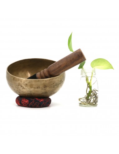 Meditation, Mindfulness, Sound Healing, Sound Therapy, Wellness, Relaxation, Spirituality, Mind Body Spirit, Yoga, blessed bowl